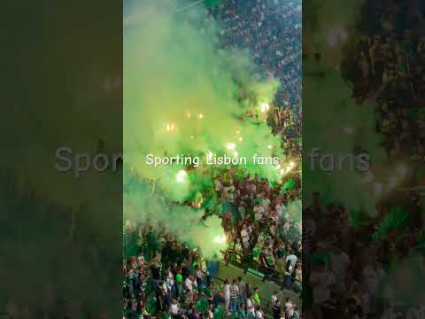 How Sporting Lisbon fans celebrate @SportingCP @DAZNUEFAChampionsLeague