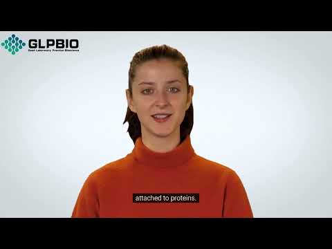PNGase F: Unveiling the Mysteries of Glycoprotein Glycosylation | GlpBio